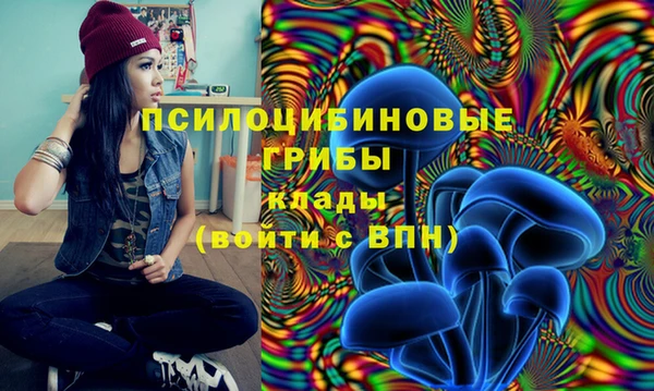 метадон Елизово