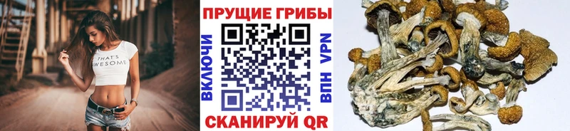Псилоцибиновые грибы мухоморы Каменск-Шахтинский