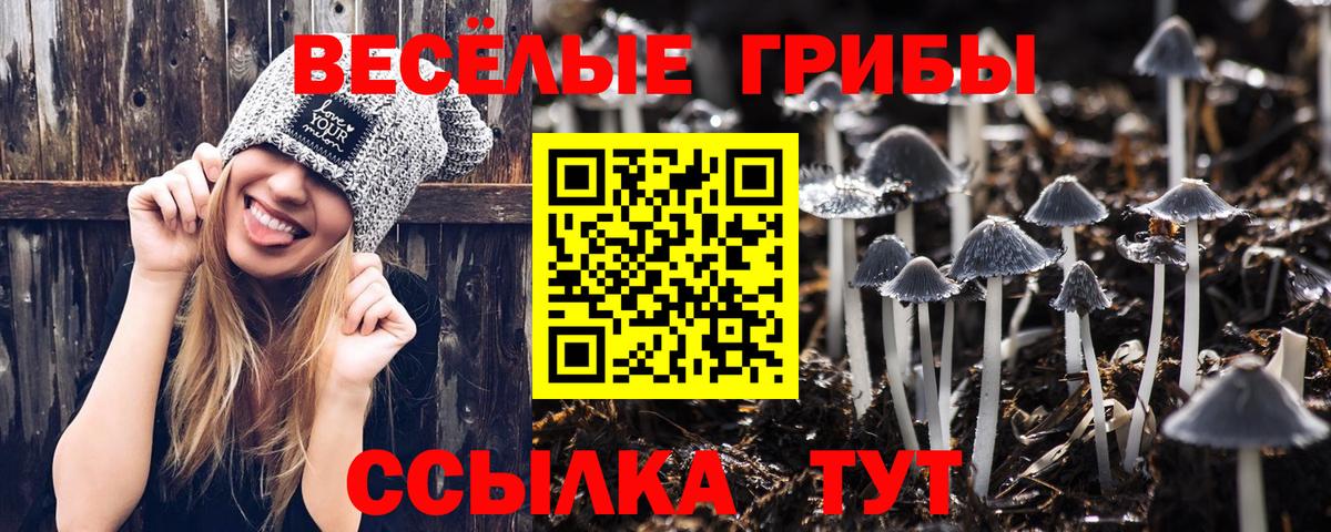 Псилоцибиновые грибы прущие грибы  Вход с VPN  Псилоцибиновые грибы Magic Shrooms  сколько стоит  Каменск-Шахтинский 